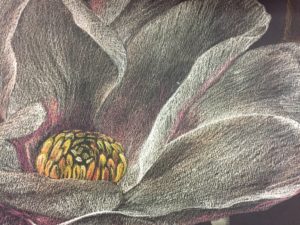 IMG_3046